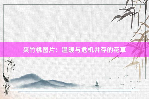 夹竹桃图片：温暖与危机并存的花草
