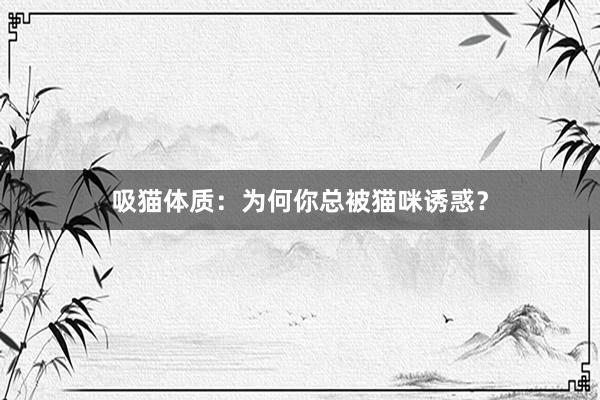 吸猫体质：为何你总被猫咪诱惑？