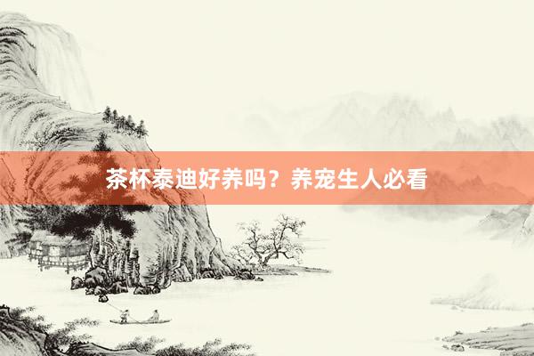 茶杯泰迪好养吗？养宠生人必看