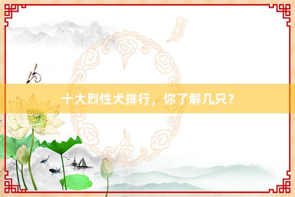 十大烈性犬排行，你了解几只？