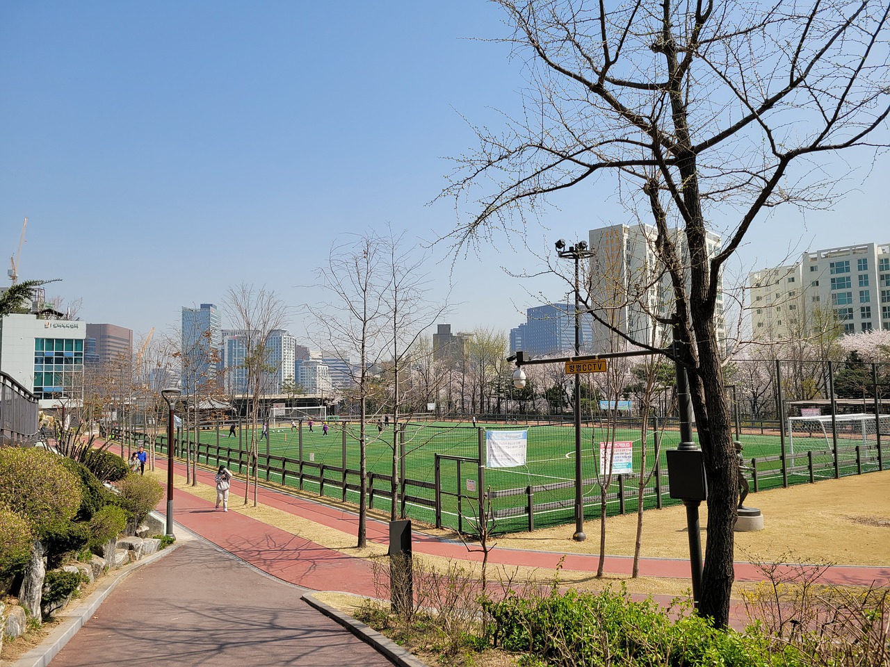 施廷懋在比
