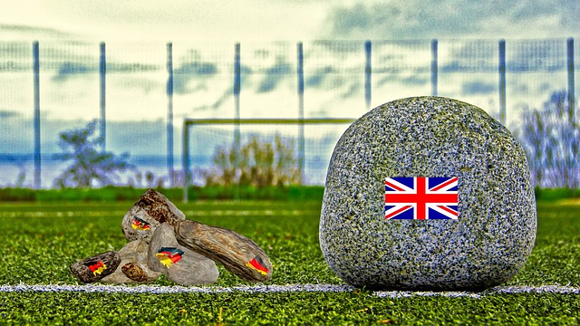 成功逆转比 成功逆转比