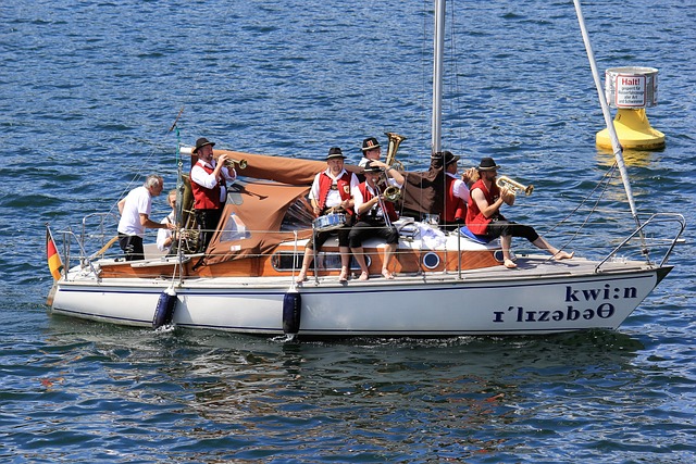 一直以其华 一直以其华