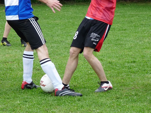 以充分发挥 以充分发挥