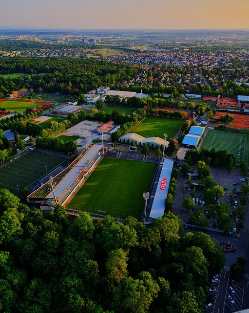 在双线作战 在双线作战