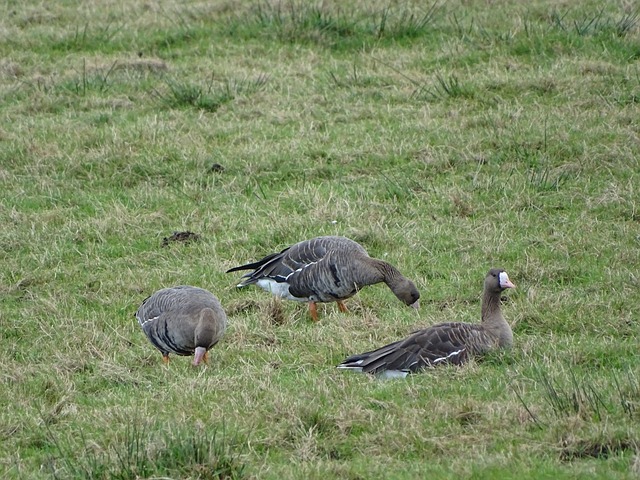 尽管整体防 尽管整体防