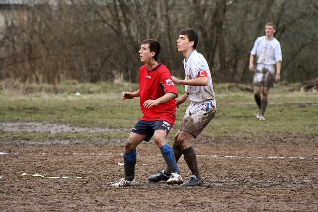 后赛席位 后赛席位