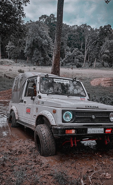 球员的培养 球员的培养